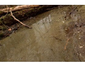 Akrylowa imitacja wody bagiennej w żelu (Swamp Green) 250ml | AK8006