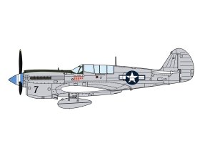 P-40N Warhawk \'Natural Metal Aces\' 1:48 | 07516 HASEGAWA